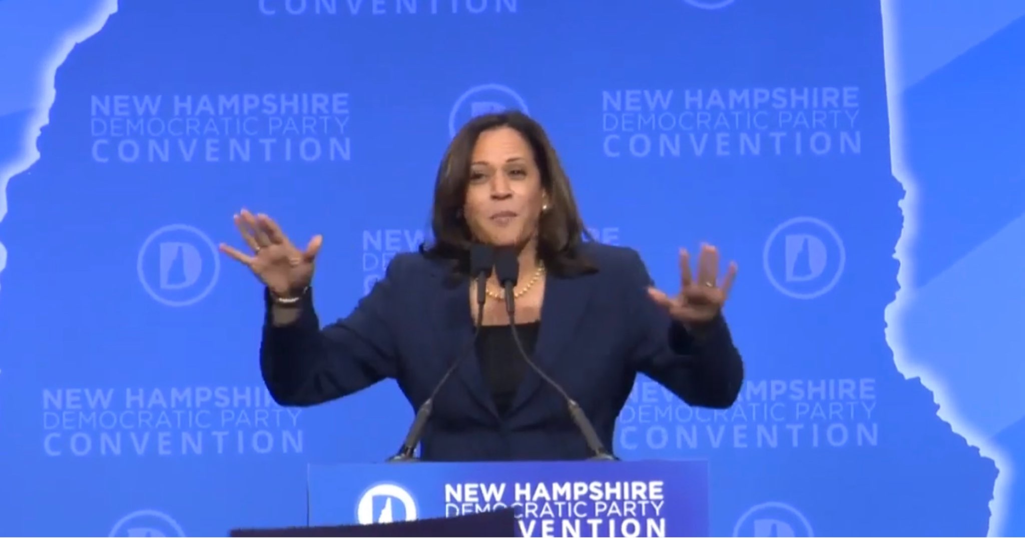 Kamala Harris Staff Accidentally Leaves Talking Points Memo In NH That ...