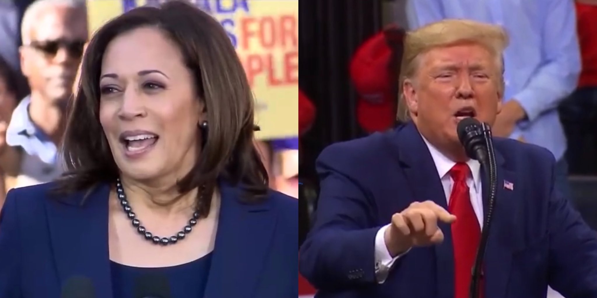 Plummeting Kamala Harris Claims Trump Confessed To Something, Doesn't ...