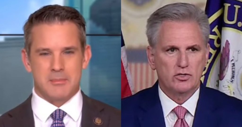 Adam Kinzinger Describes Himself as 'Technically' Still a House ...