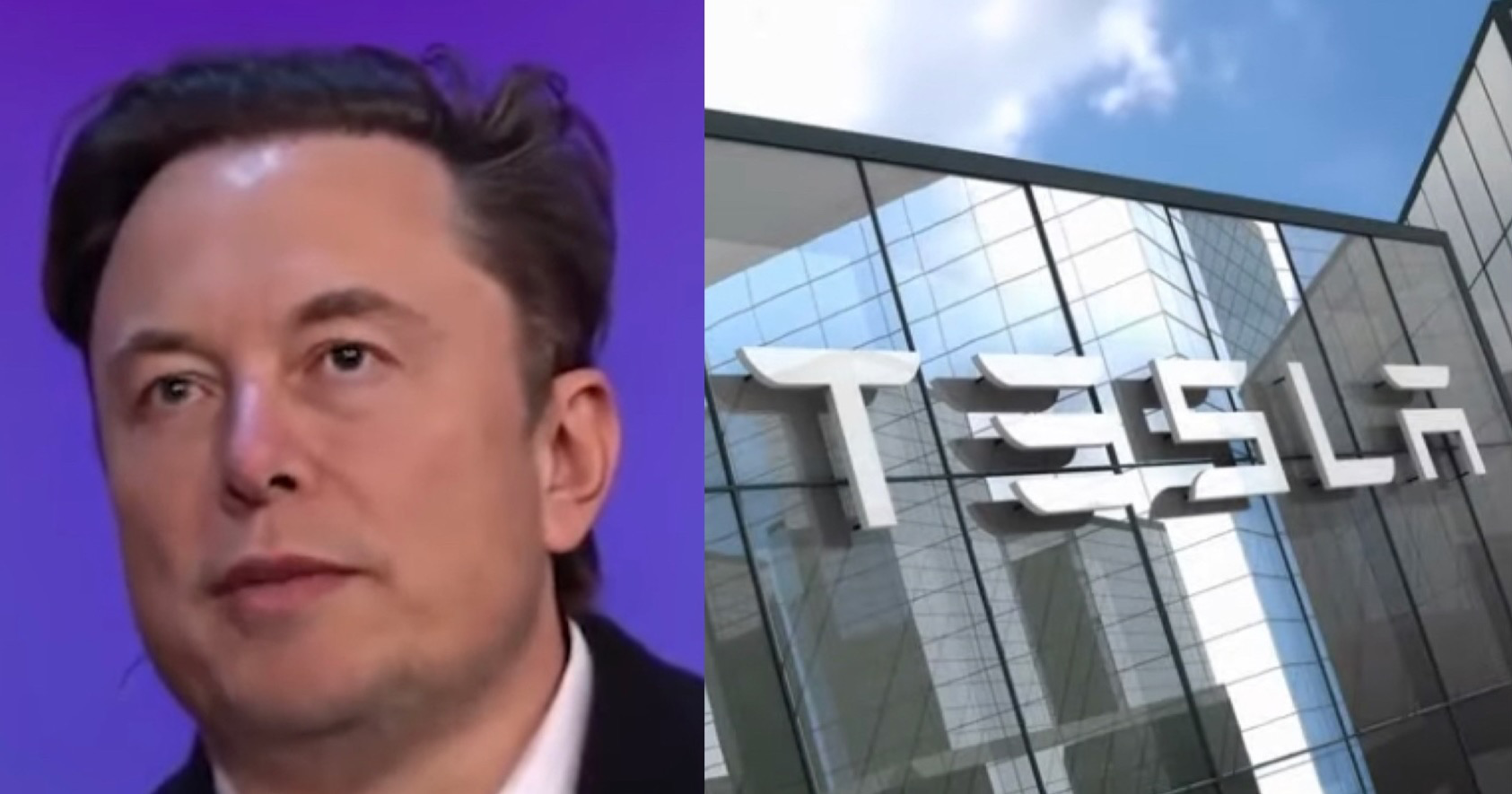 'I Don't Want Tesla To Become The New MAGA Hat' CNN Reports On 'Strong ...