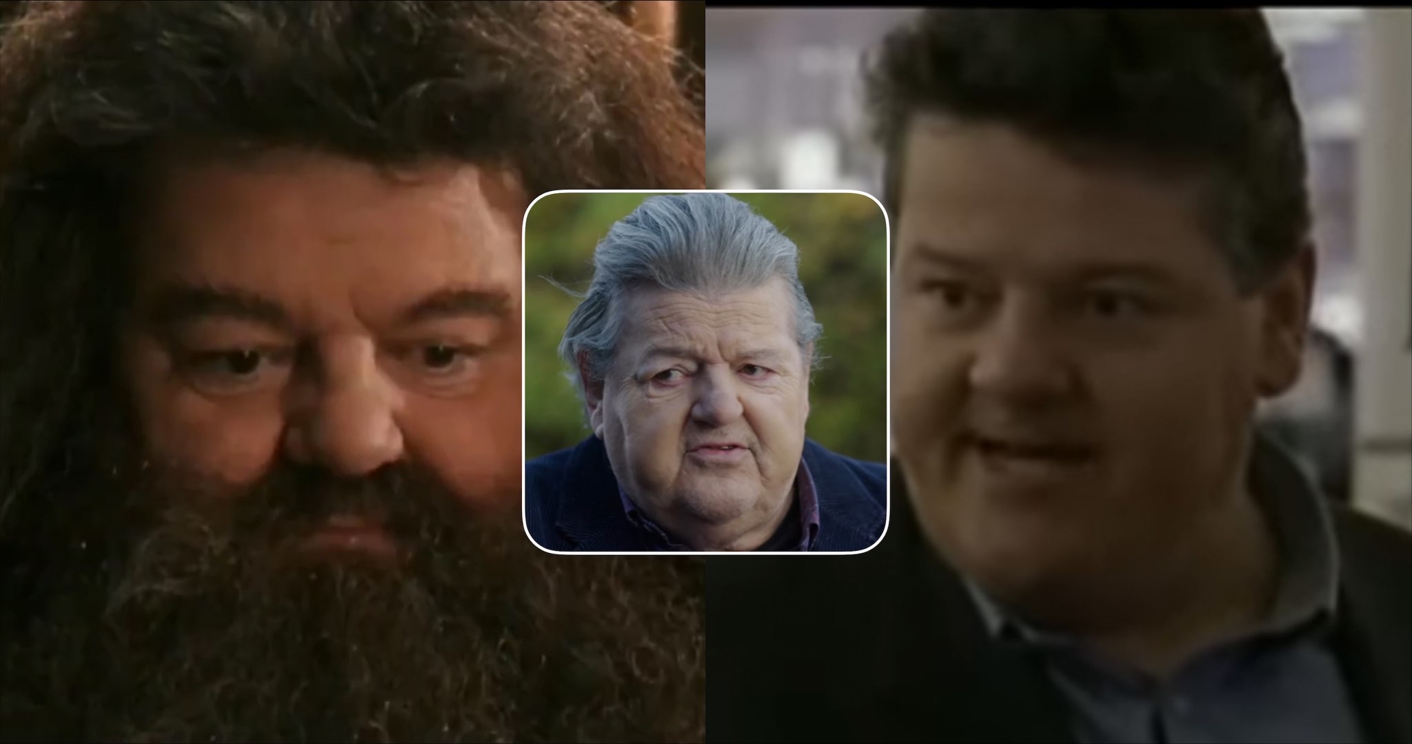 Actor Robbie Coltrane Who Played The Beloved 'Harry Potter' Character ...